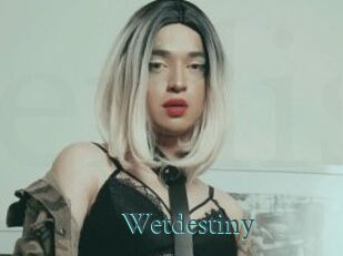 Wetdestiny