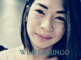 WildFLAMINGO