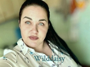 Wilddaisy