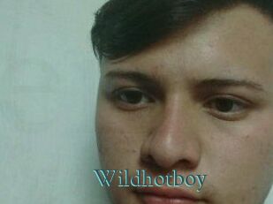 Wild_hotboy