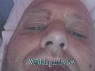 Wildsparky69