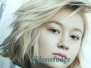 Wilonefudge
