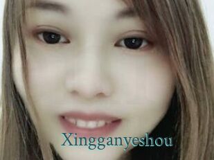 Xingganyeshou