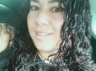 YECAOL23