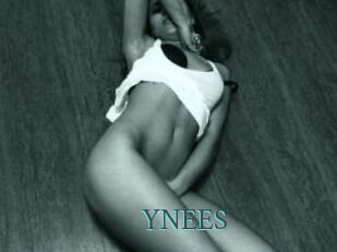 YNEES