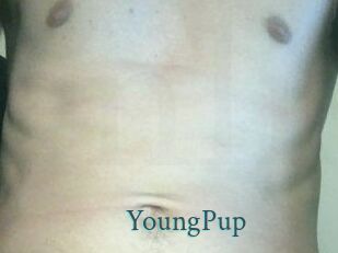 YoungPup
