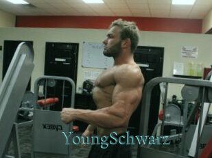 YoungSchwarz