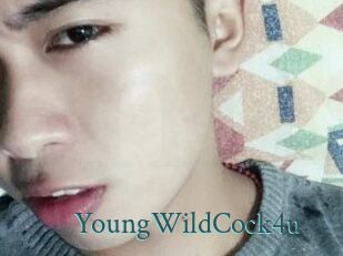 YoungWildCock4u