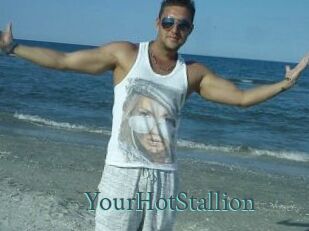 YourHotStallion