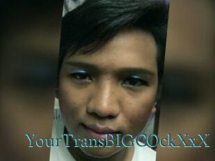 YourTransBIGCOckXxX