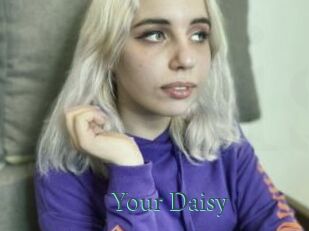 Your_Daisy