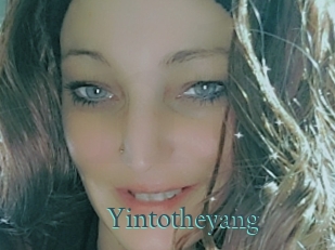 Yintotheyang