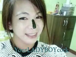 YourLADYBOYcock