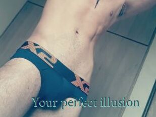 Your_perfect_illusion