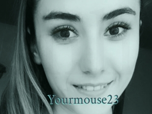 Yourmouse23