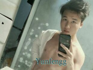 Yunfengg